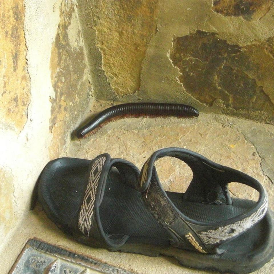 142.JPG
