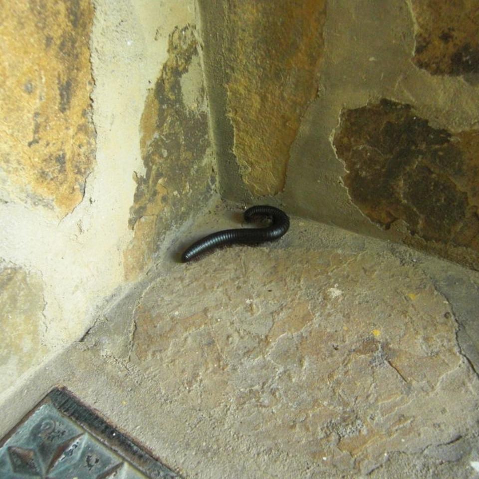 144.JPG