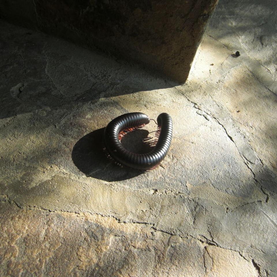 145.JPG