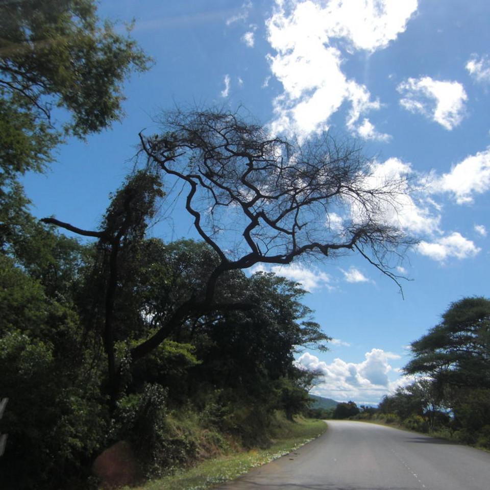164.JPG