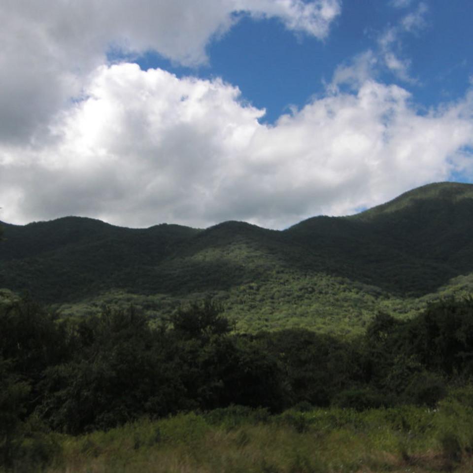 165.JPG