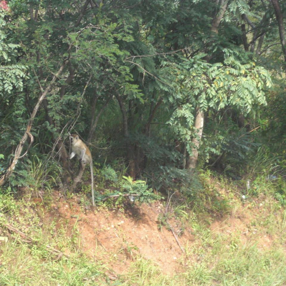 170.JPG