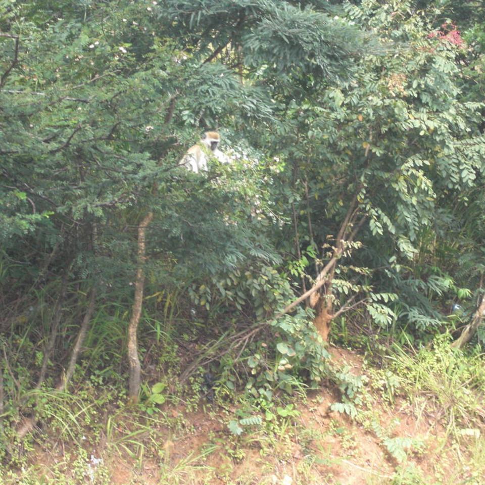 171.JPG