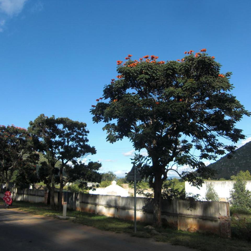172.JPG
