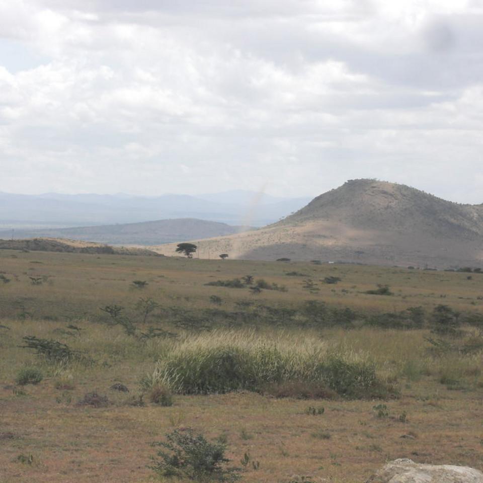 103.JPG