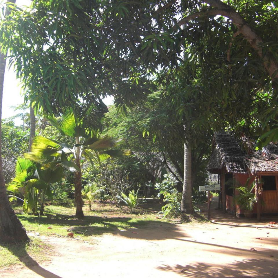 113.JPG