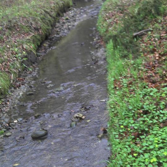 110.jpg