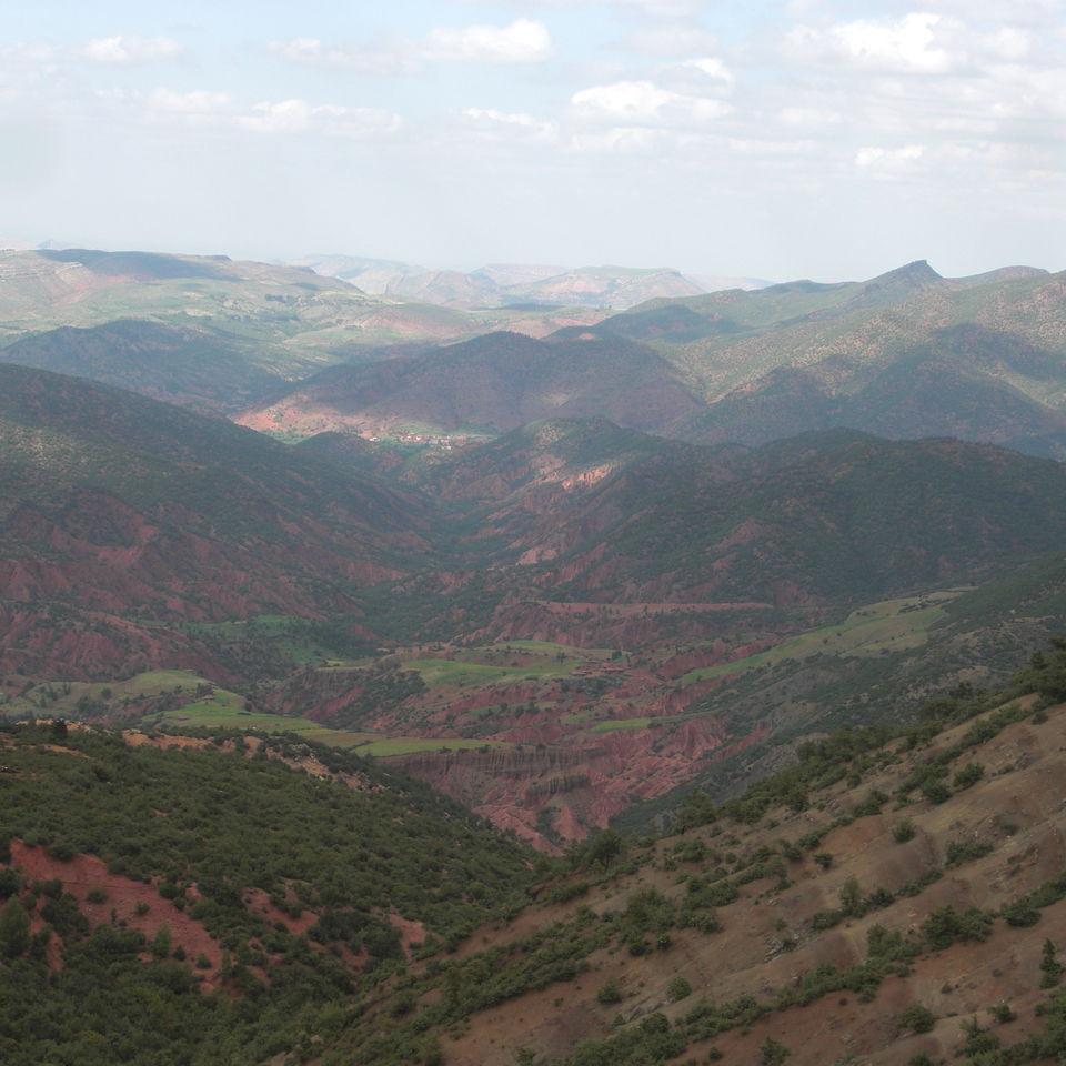 106.JPG