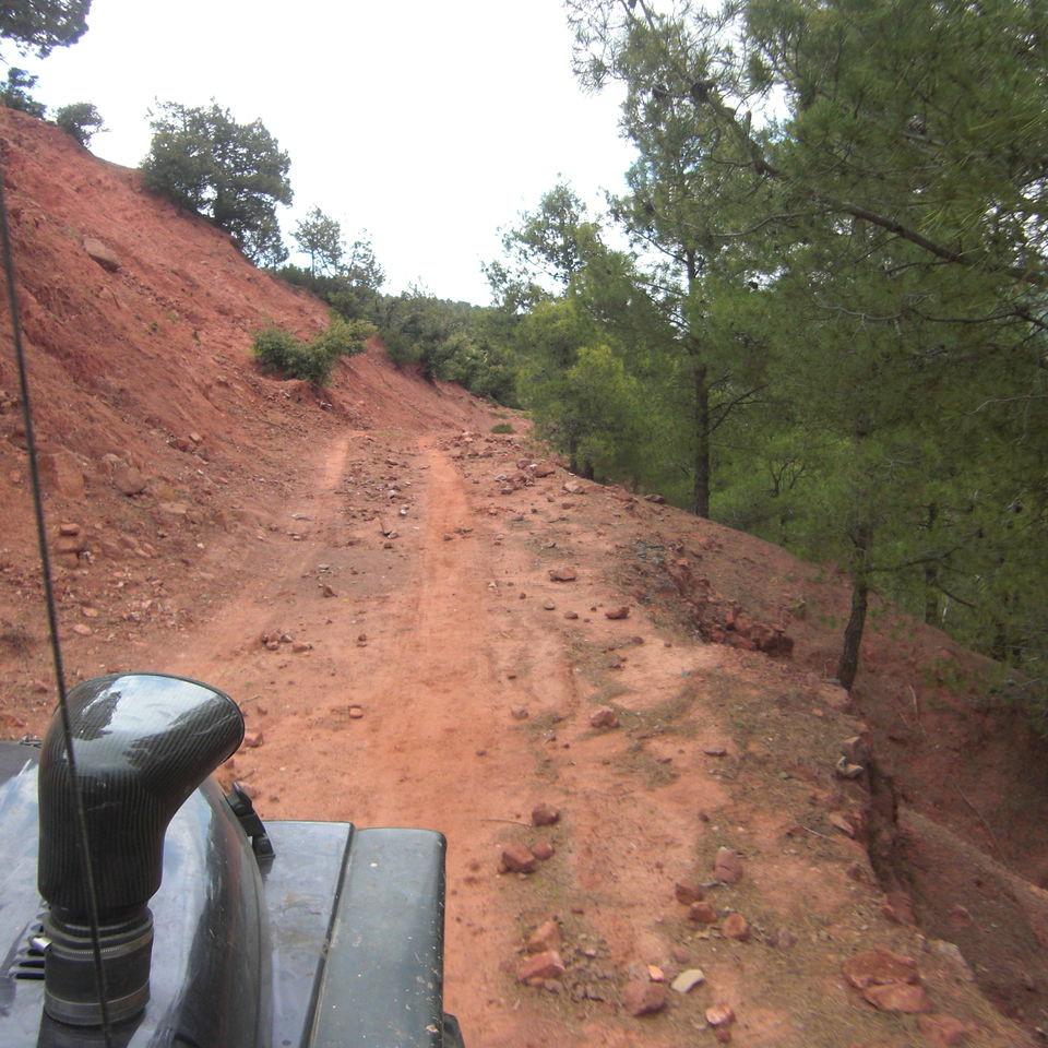 107.JPG