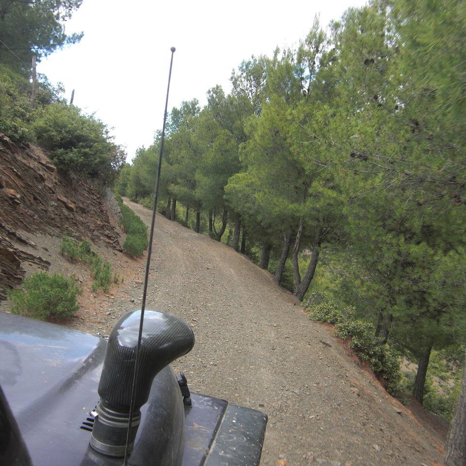 103.JPG