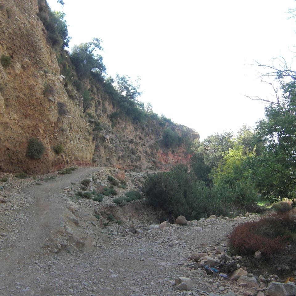 128.JPG