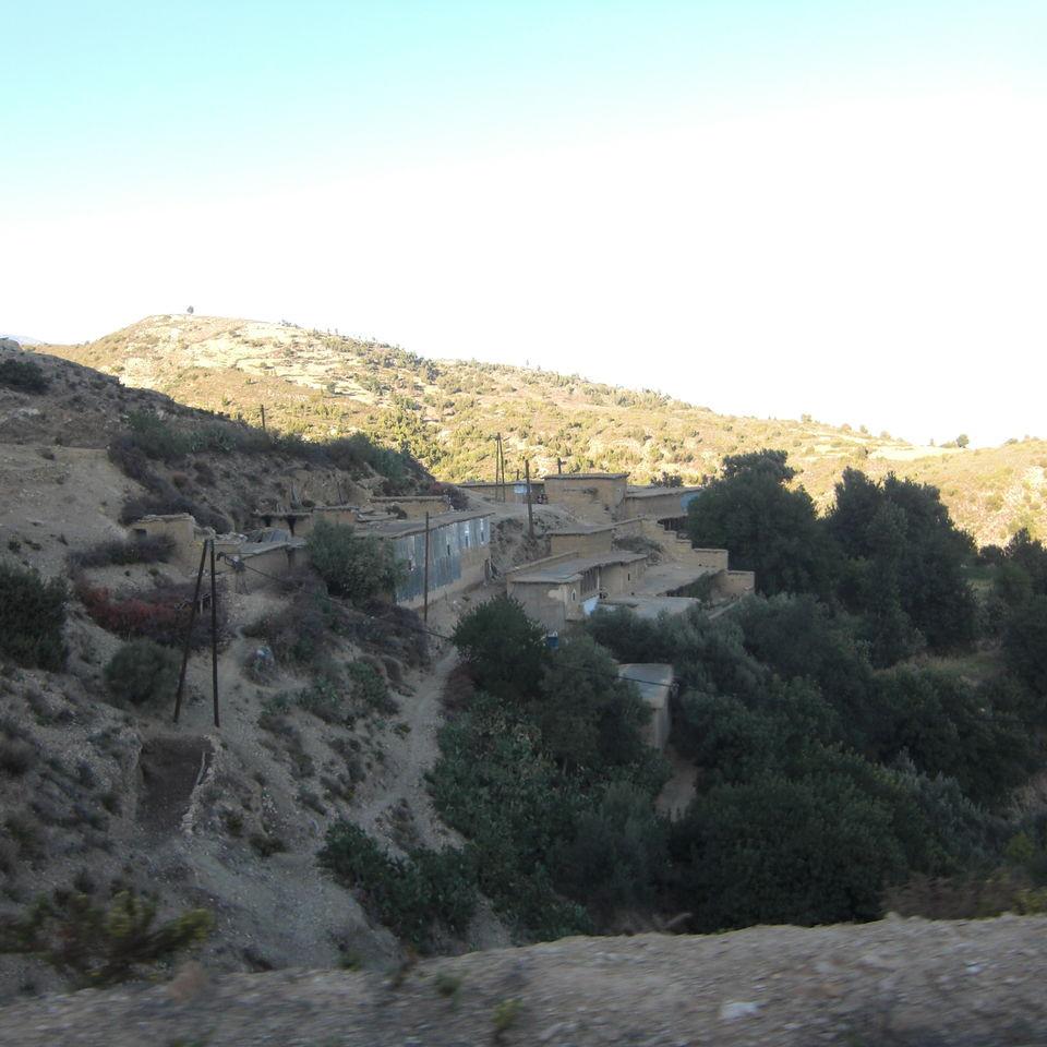 136.JPG