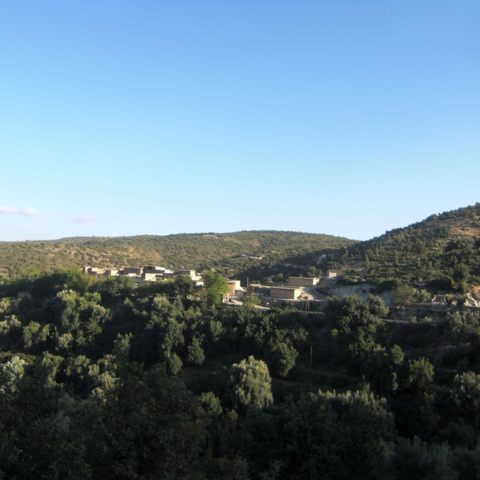 137.JPG