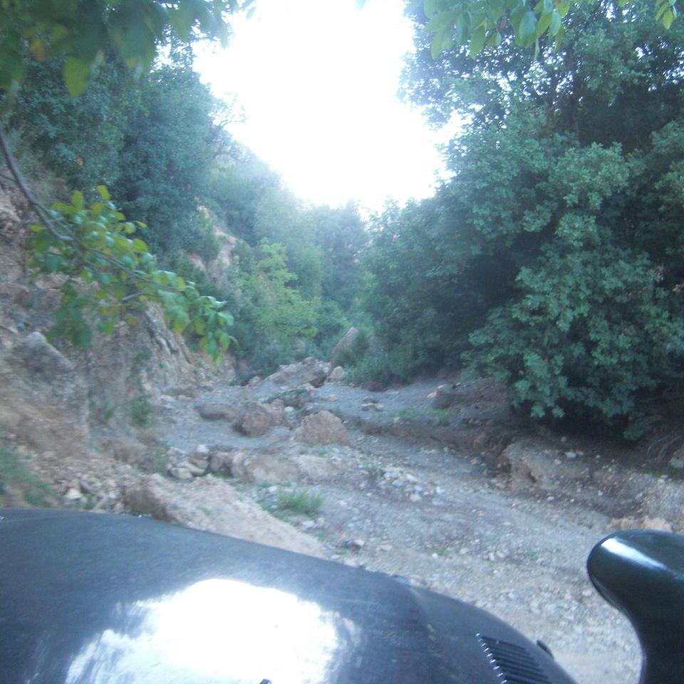 138.JPG
