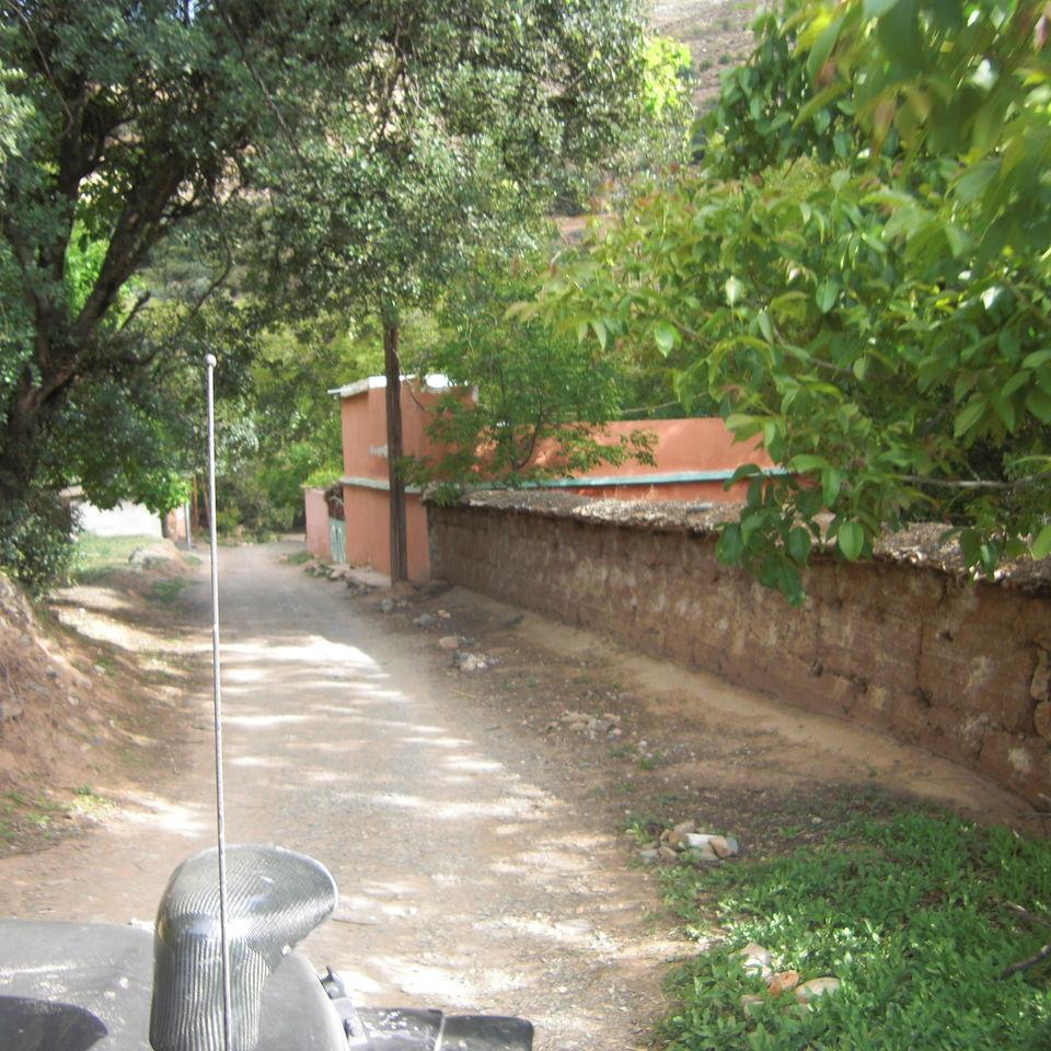133.JPG