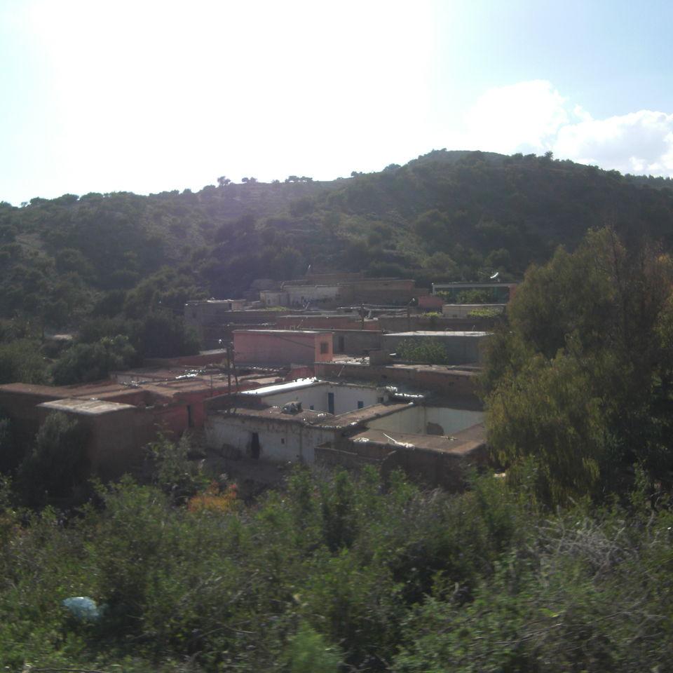 145.JPG