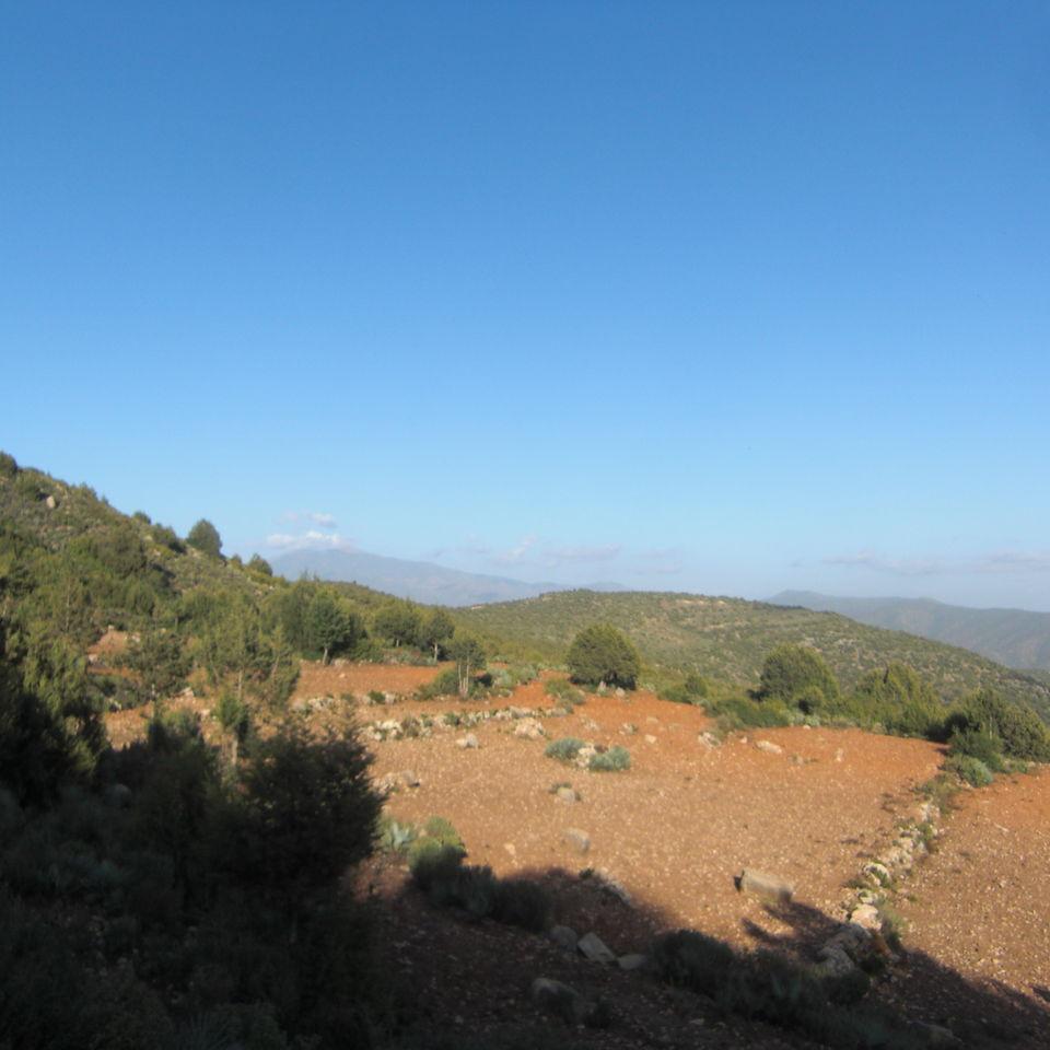 141.JPG