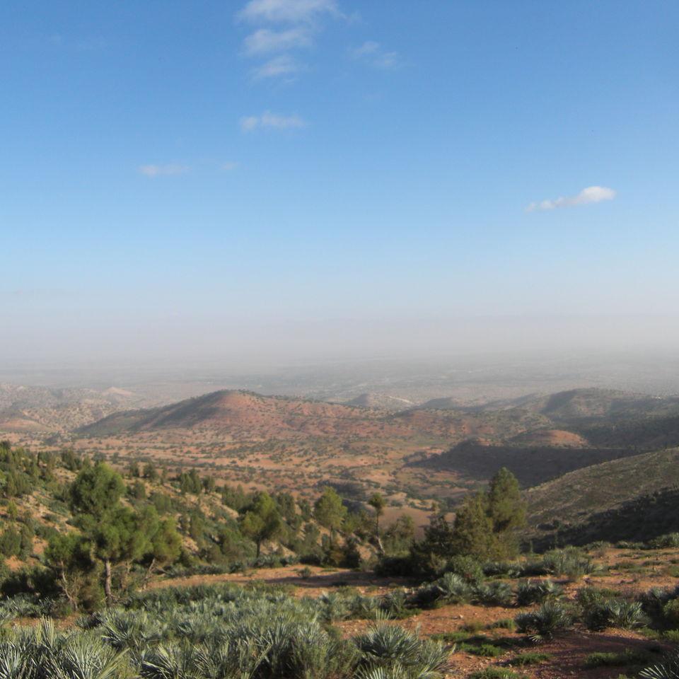 143.JPG