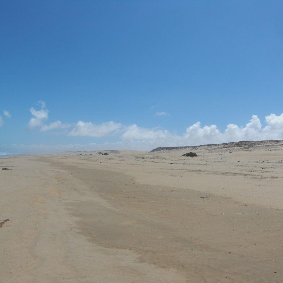 161.JPG