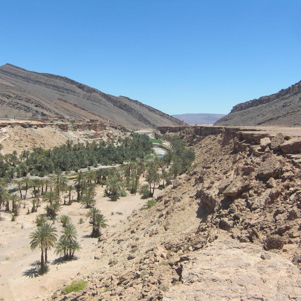 184.JPG