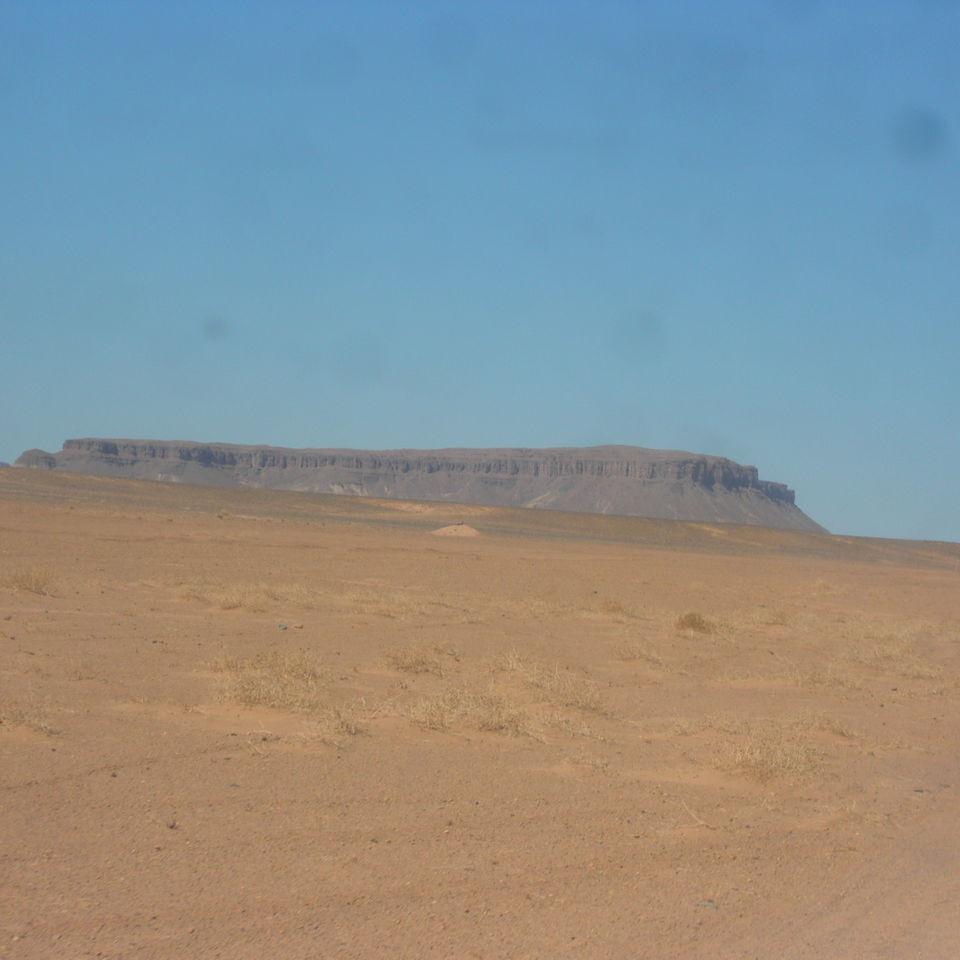 185.JPG