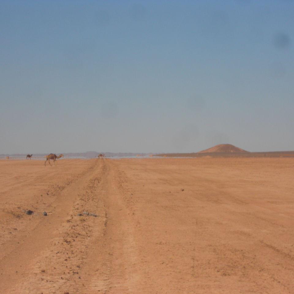 188.JPG