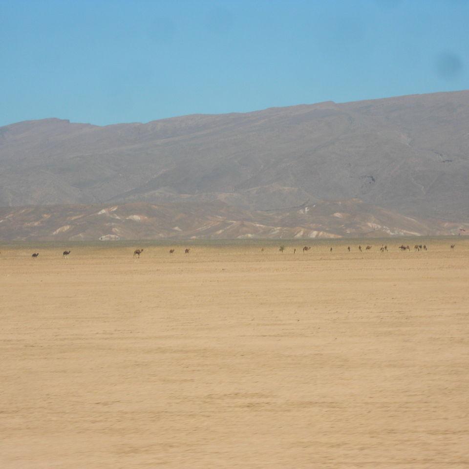 189.JPG