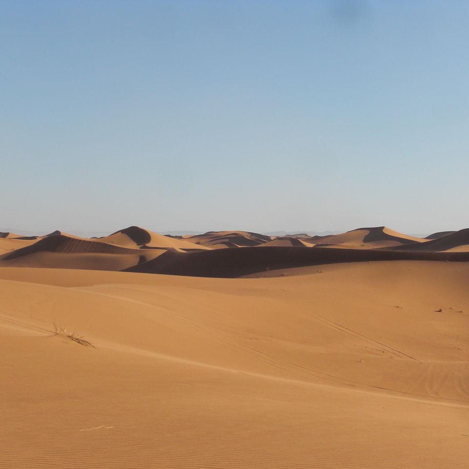 194.JPG