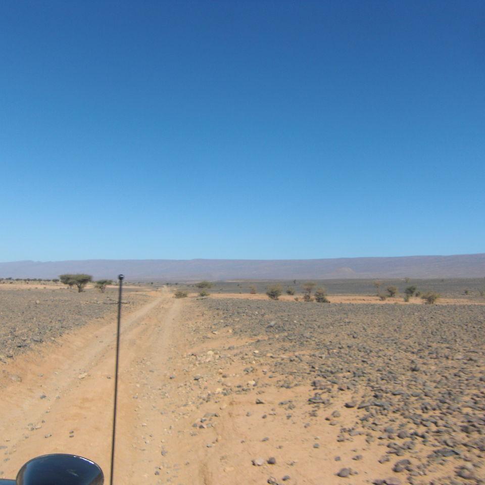 193.JPG