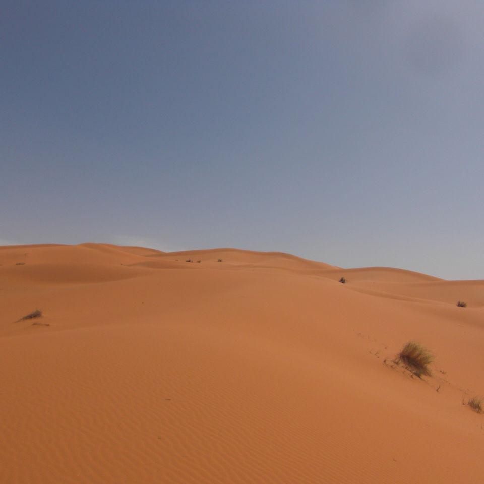 218.JPG