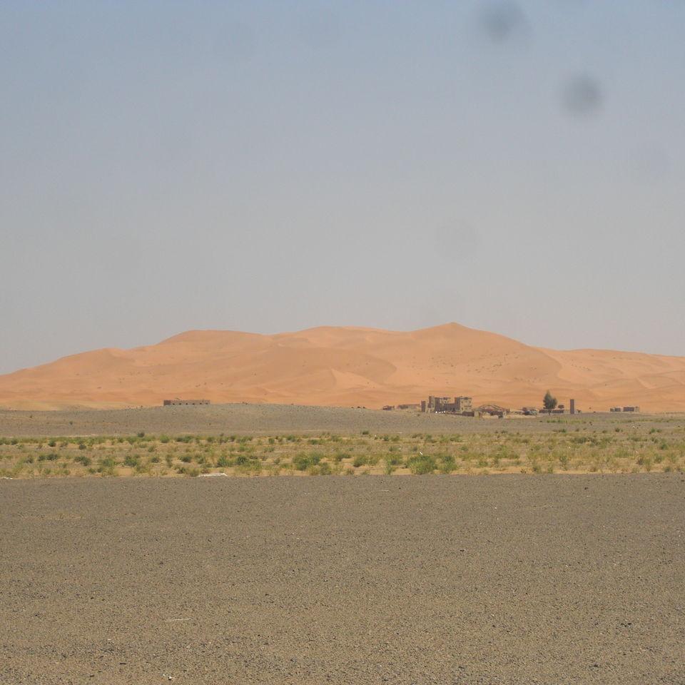 219.JPG
