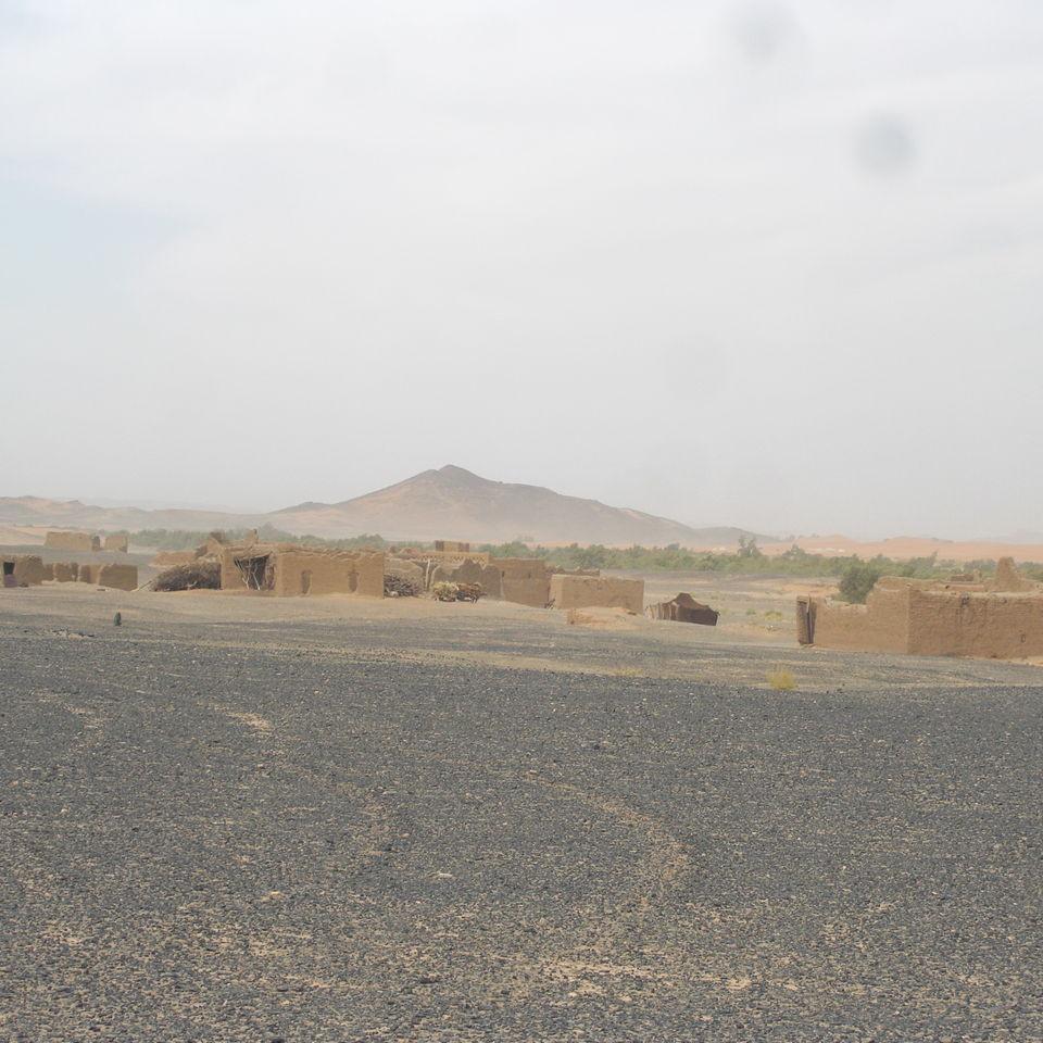 213.JPG