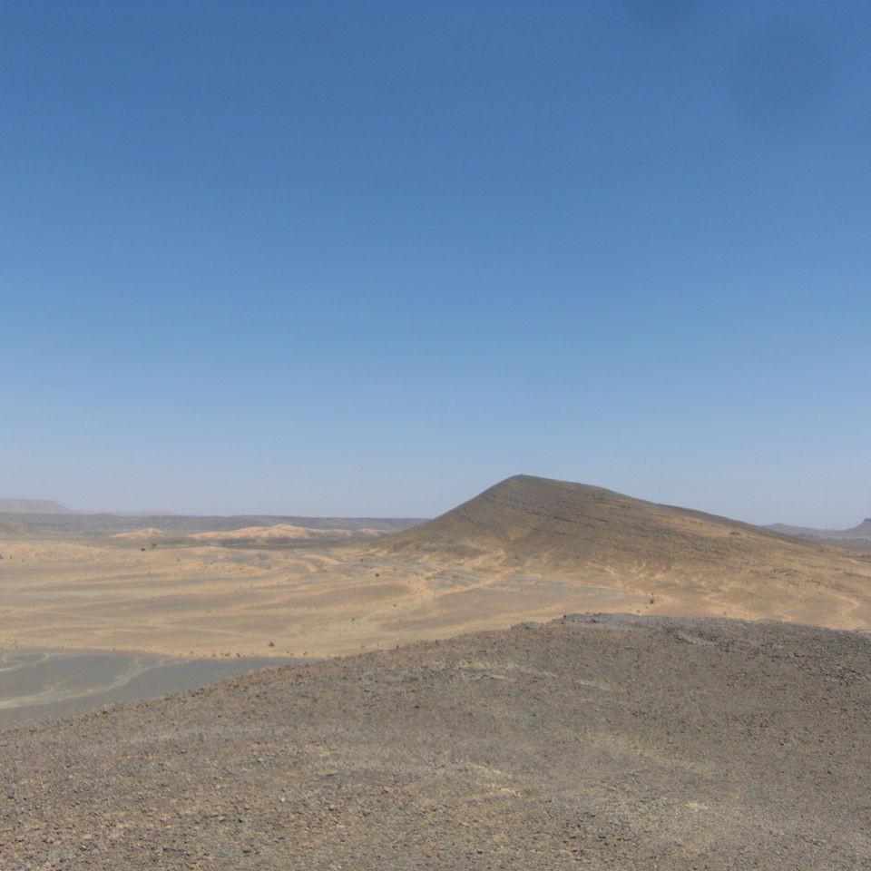 225.JPG