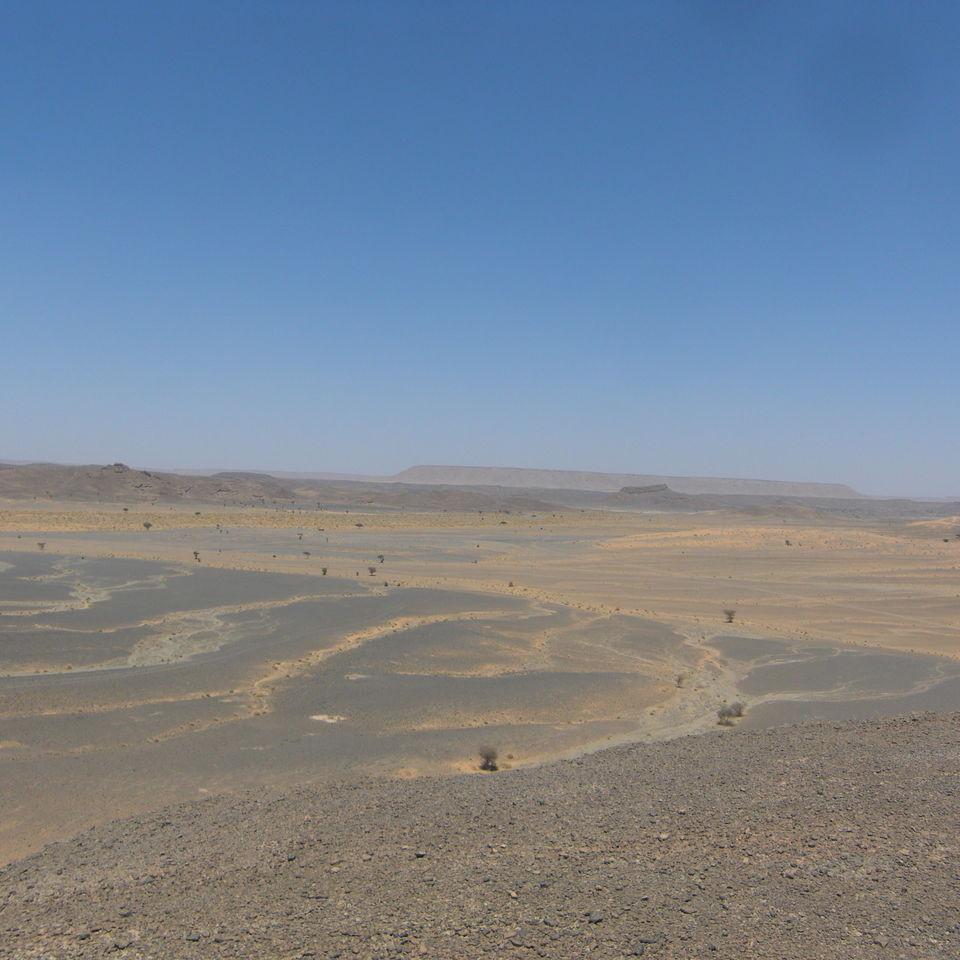 226.JPG