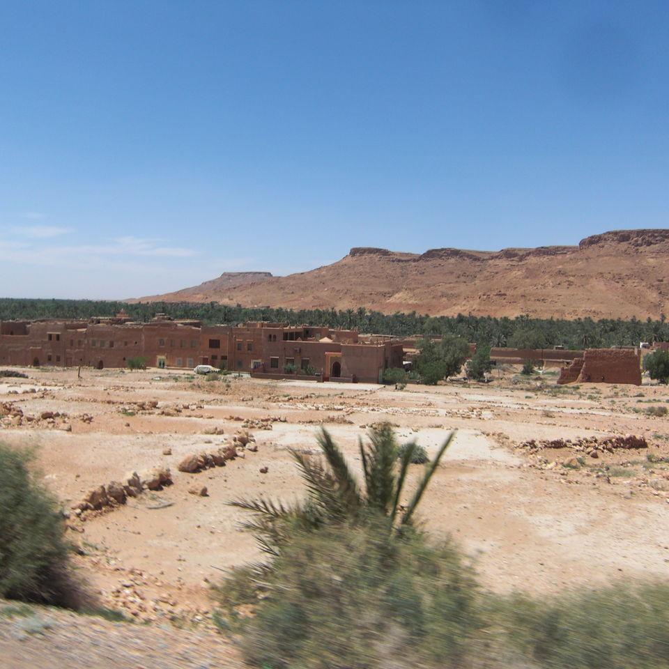 229.JPG
