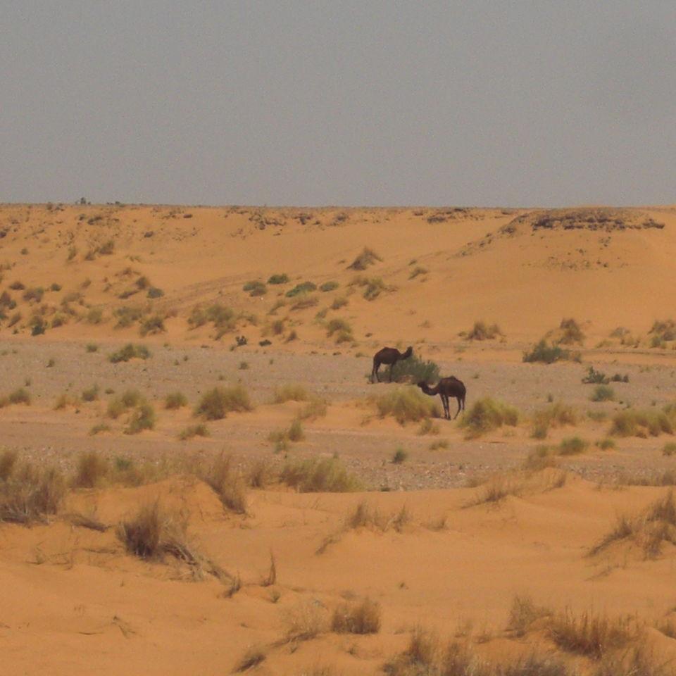 221.JPG