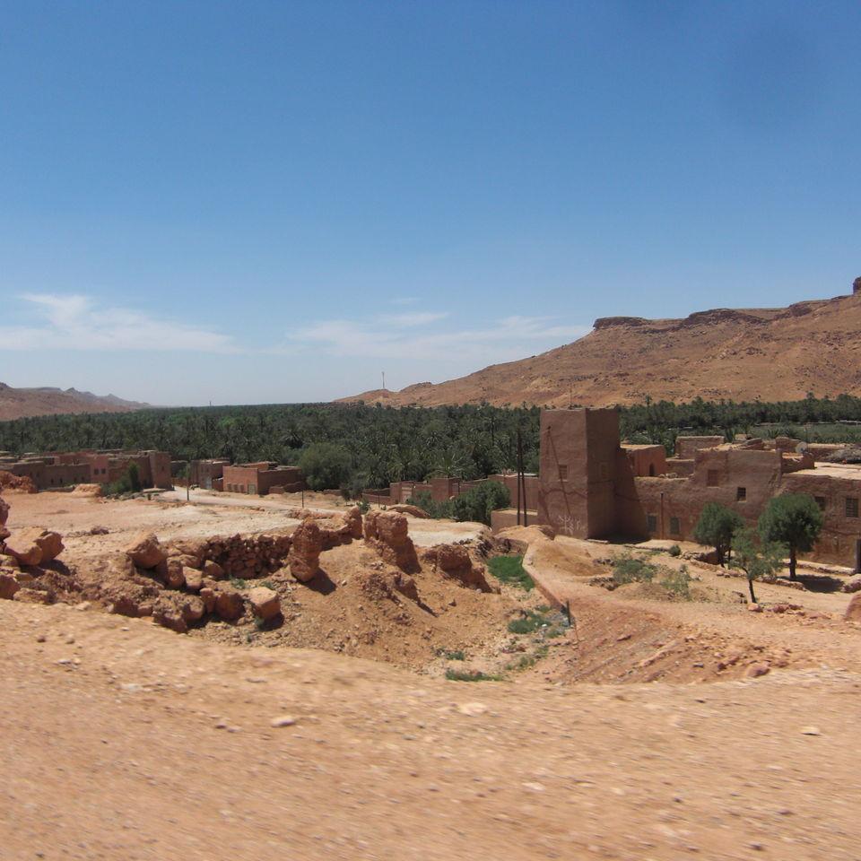 230.JPG