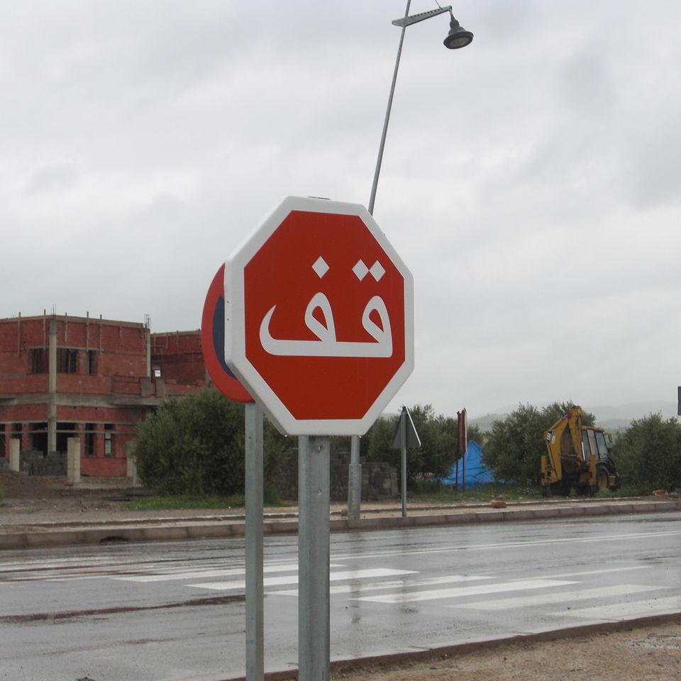 241.JPG