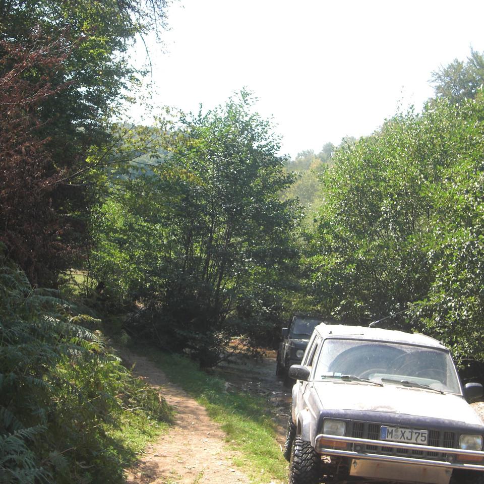 115.JPG