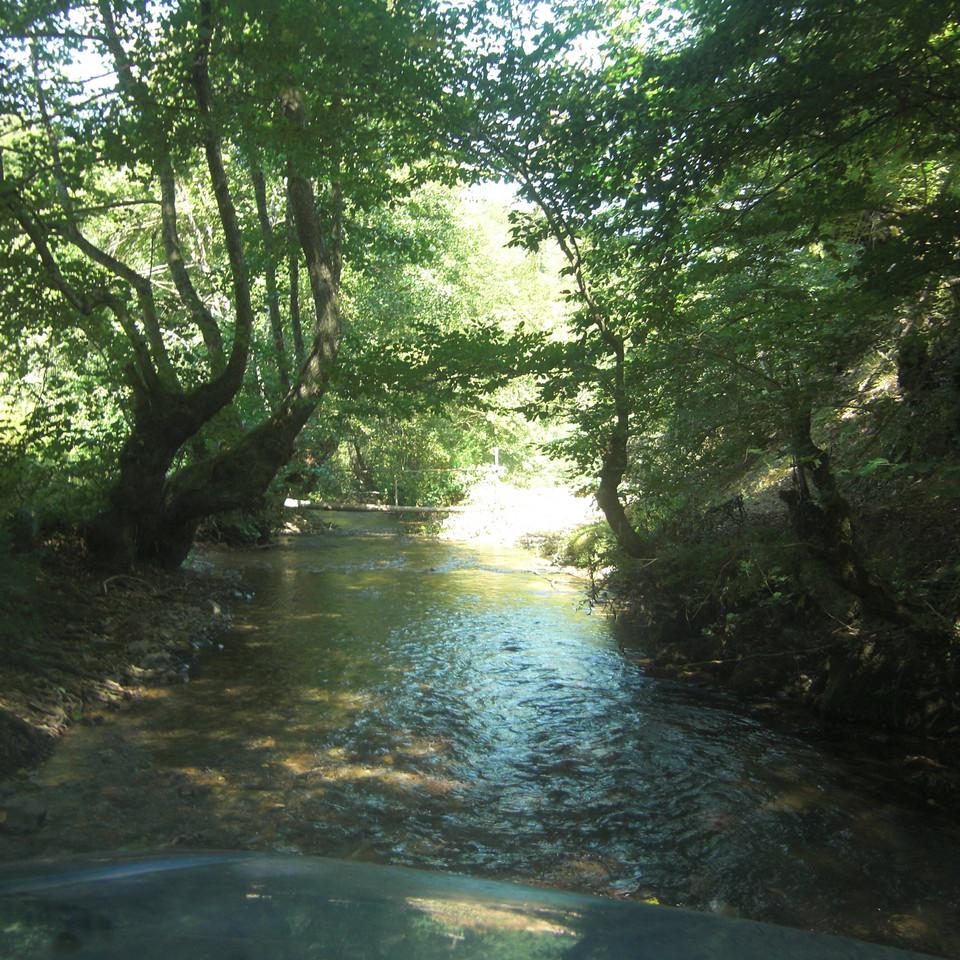 119.JPG