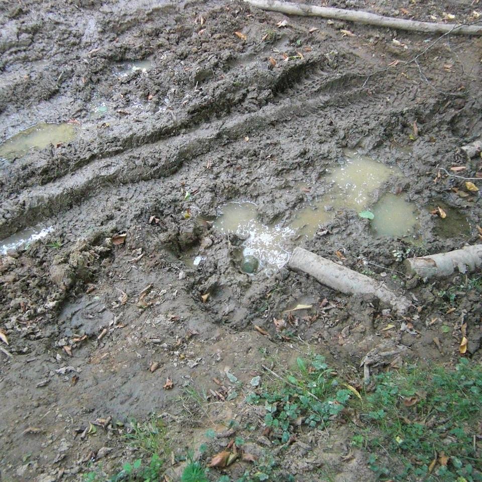 123.JPG