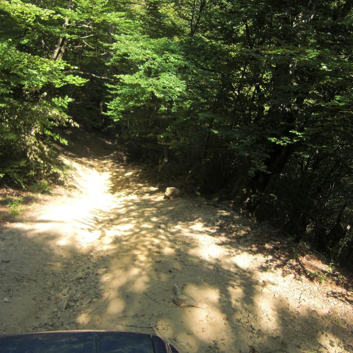 124.JPG