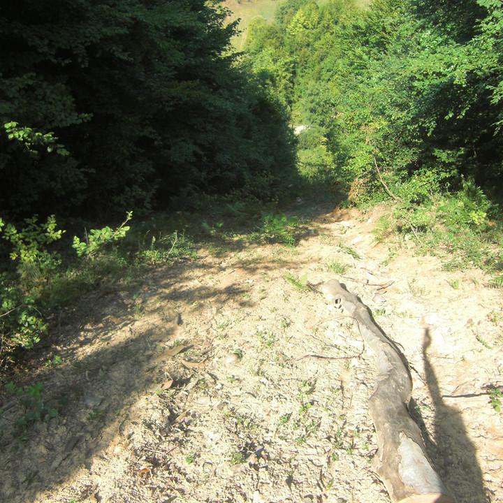 125.JPG