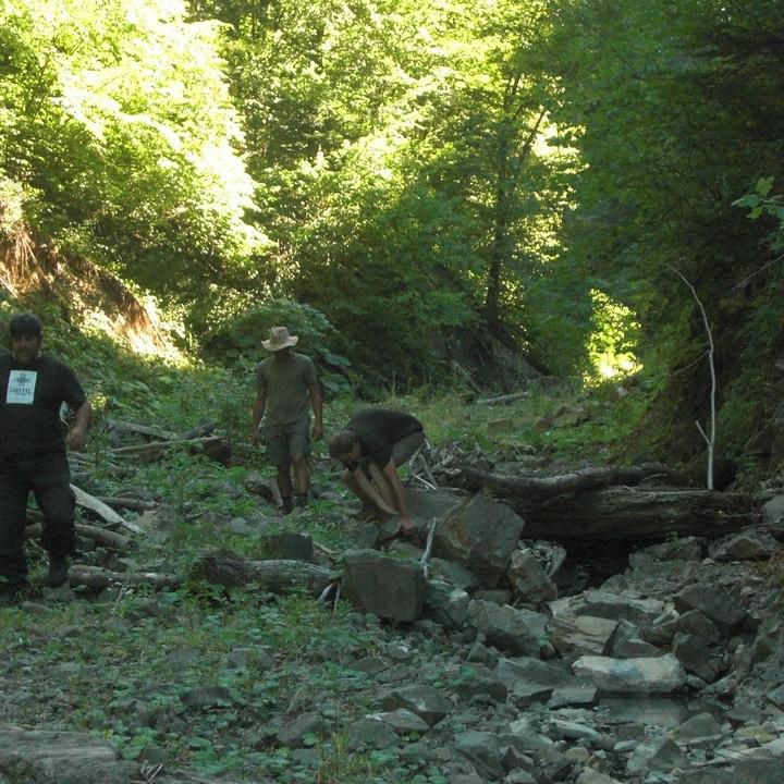 181.JPG