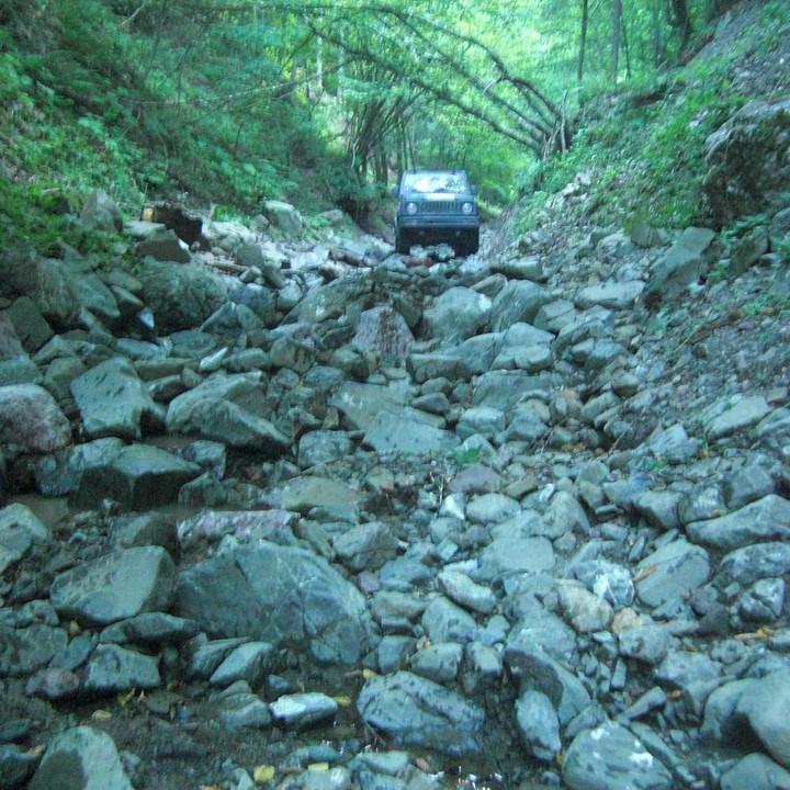 195.JPG