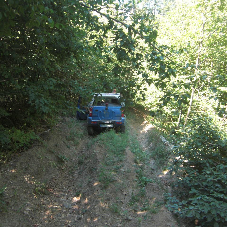 226.JPG