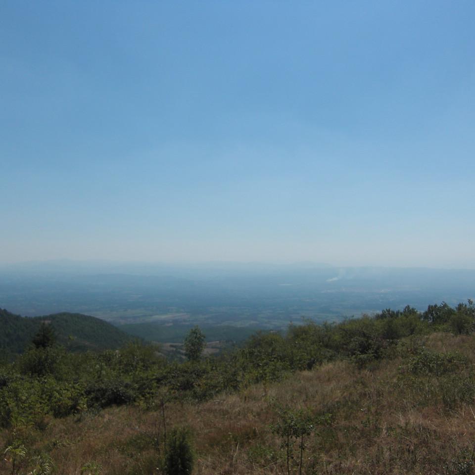 228.JPG