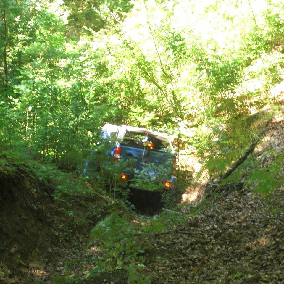 238.JPG