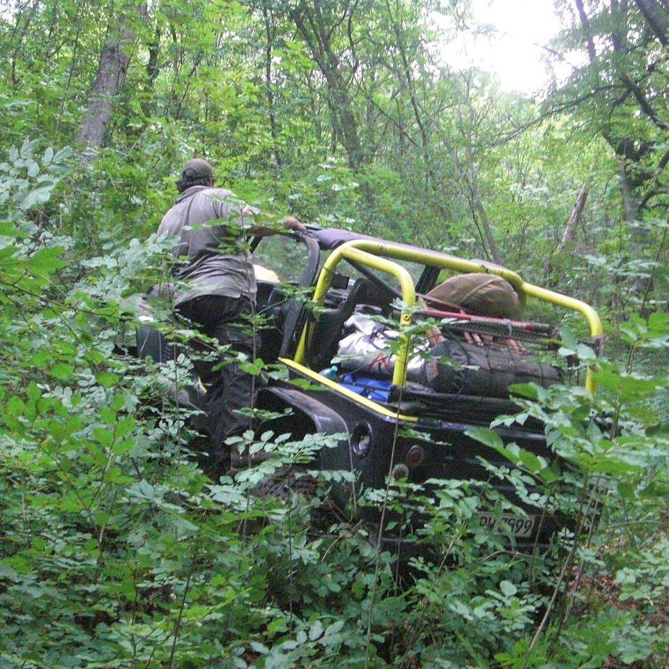 259.JPG