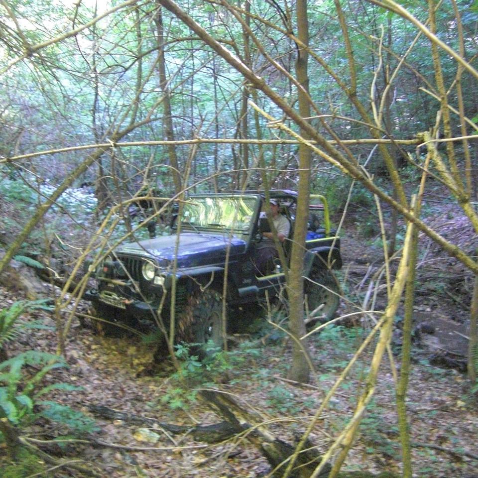287.JPG